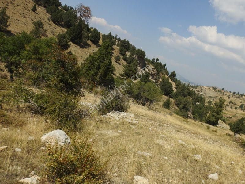 Çameli Cumaalanında 10 Dönüm Fırsat Fiyat Yatırımlık Tarla - Görsel 24
