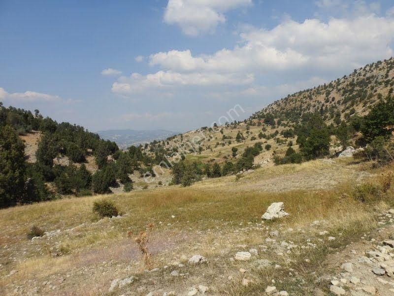Çameli Cumaalanında 10 Dönüm Fırsat Fiyat Yatırımlık Tarla - Görsel 17