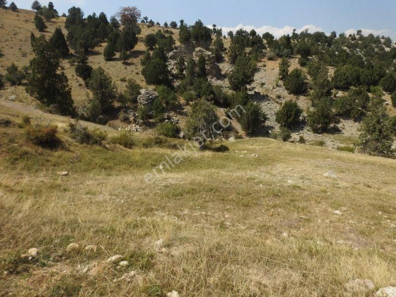 Çameli Cumaalanında 10 Dönüm Fırsat Fiyat Yatırımlık Tarla - Görsel 3