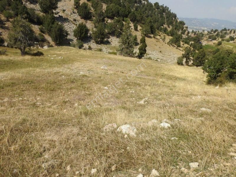 Çameli Cumaalanında 10 Dönüm Fırsat Fiyat Yatırımlık Tarla - Görsel 11
