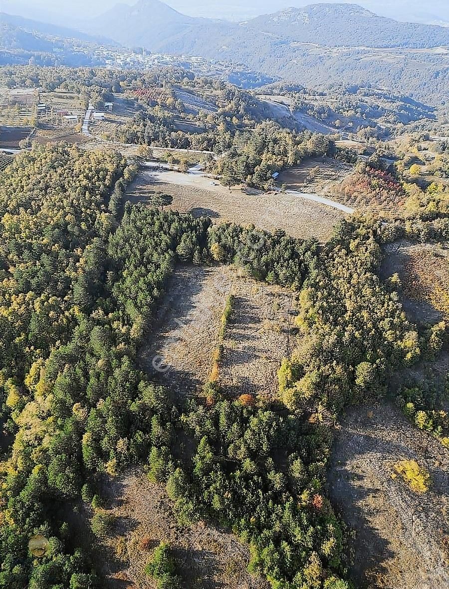 Kestel Orhaniye Bölgenin En Uygunu 2.920 M² Fırsat Tarla