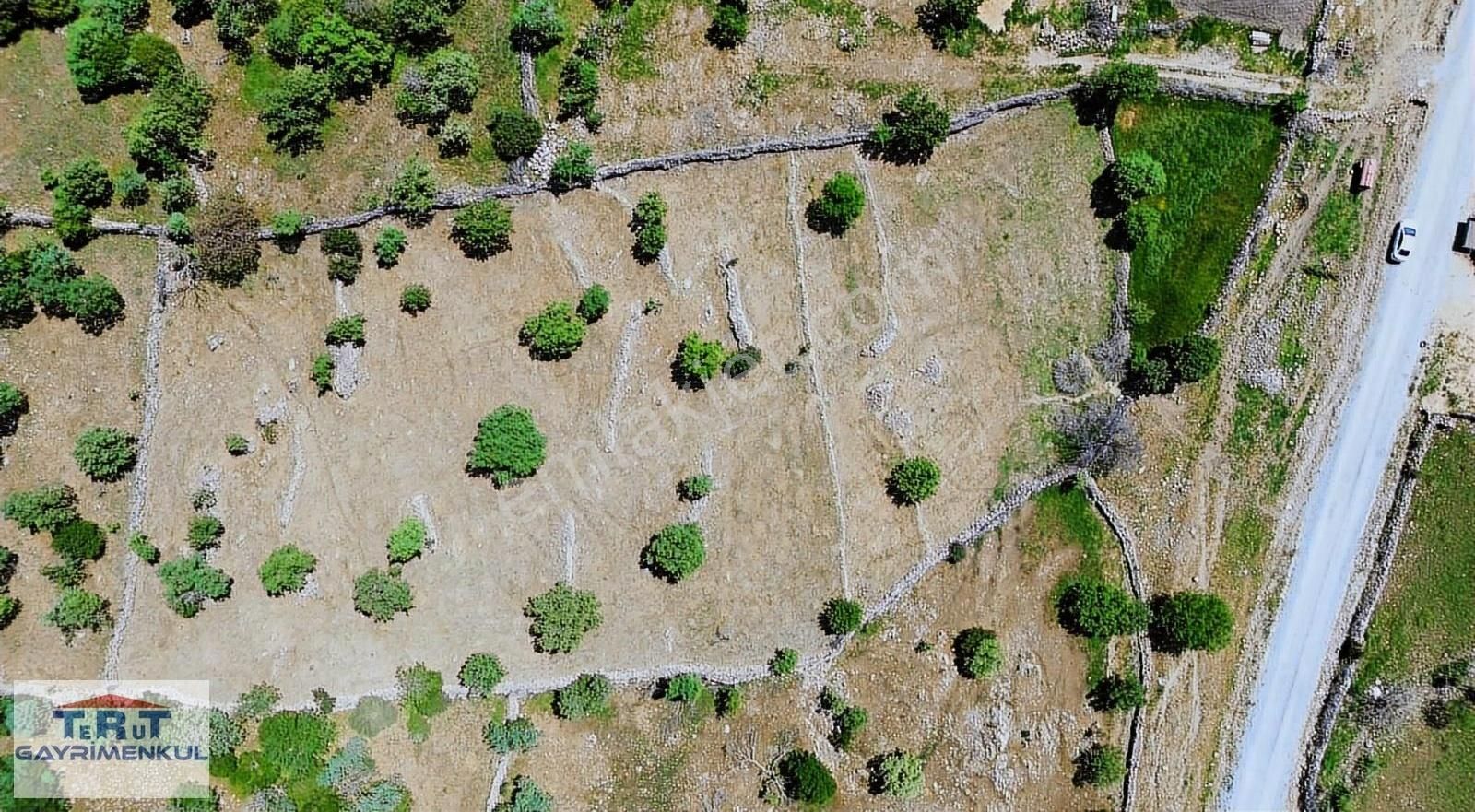 Manisa Sarıahmetli'de Satılık 4800 M2 Yola Sıfır Muhteşem Tarla