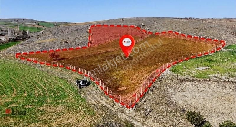 ▓ Rw Livadan Bilecik Söğüt Yeşilyurt Mh Satılık Fırsat Tarla ▓