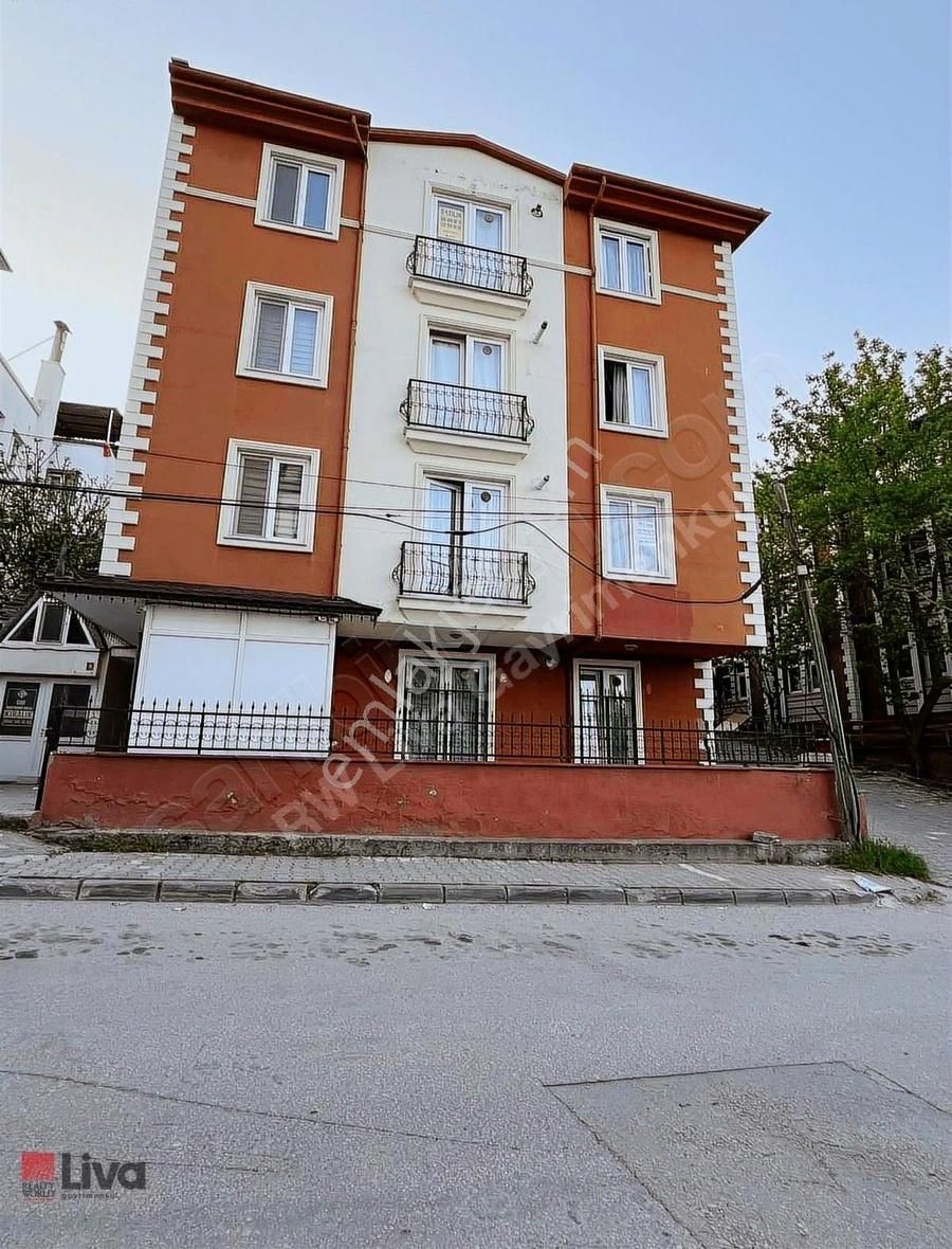 Rw Liva'dan Nef Yürüme Mesafesinde 1+0 Kiralık Daire