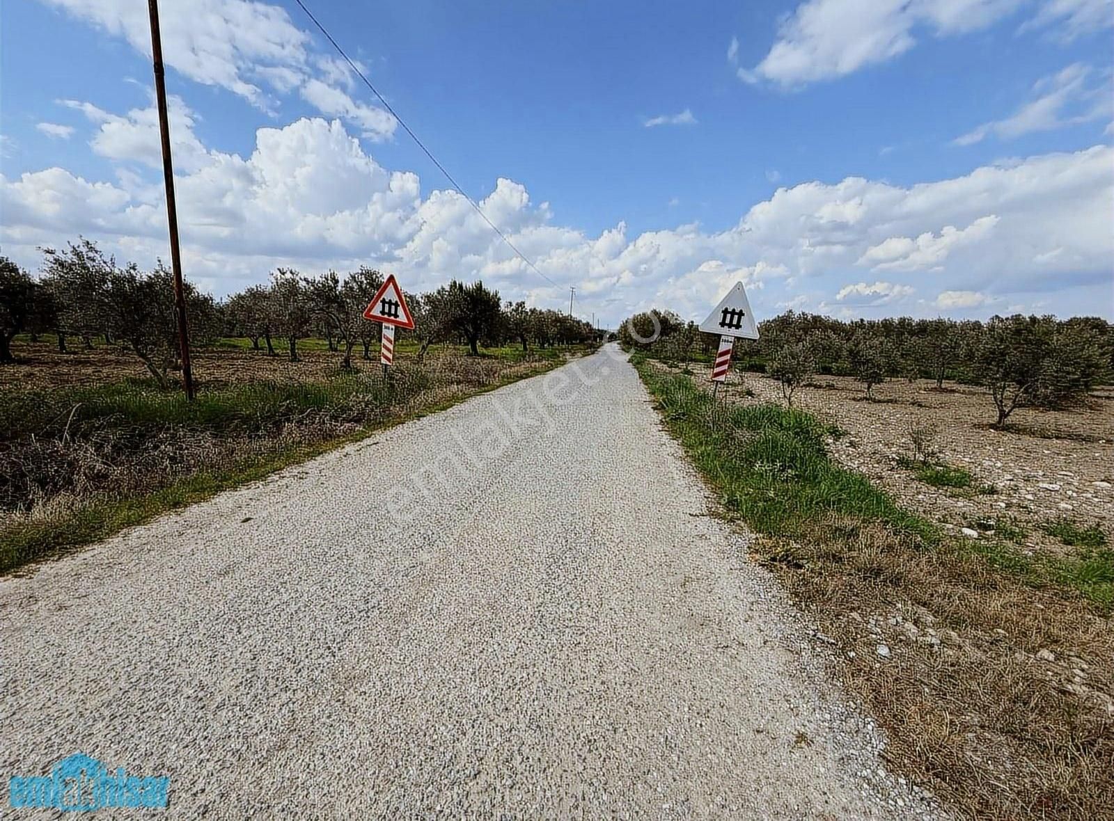 Akhisar Süleymanlıda Yola Cephe Satılık 7740 M2 Zeytinlik - Görsel 15