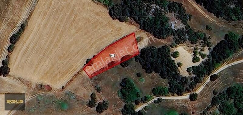Balıkesir Karesi Yaylabayır Mahallesi Satılık 1000 M2 Tarla