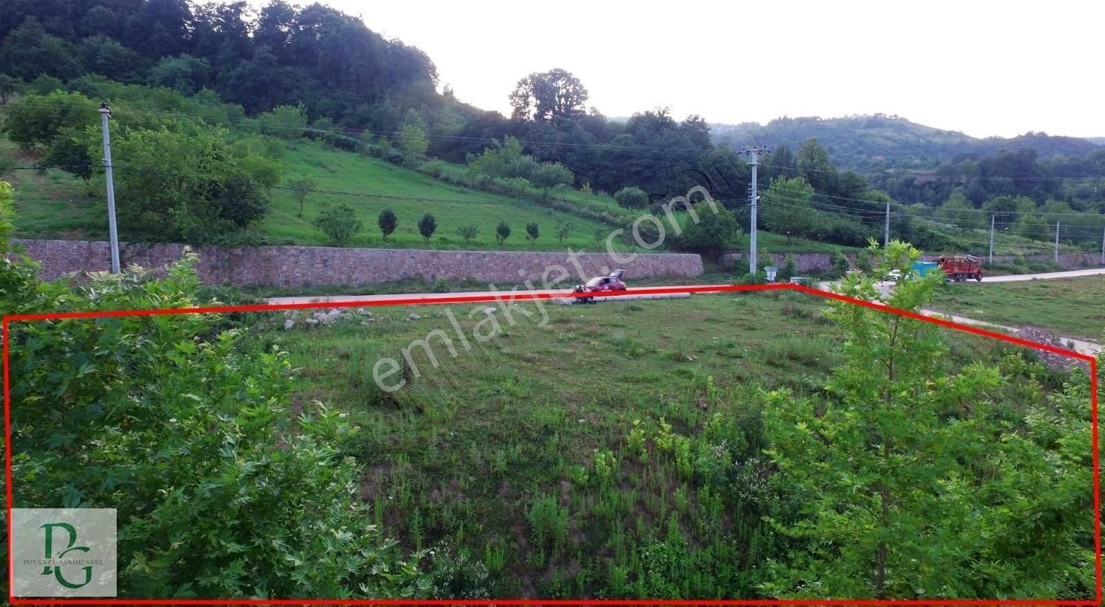 Hamidiye'de Mükemmel Konumda 1584 M2 %20 İmarlı Arsa