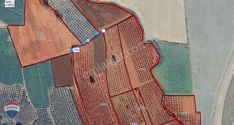 Re/max Mav'den Kaynarca Gurpınar Mahalles'nde 1000 M2 Fındıklık