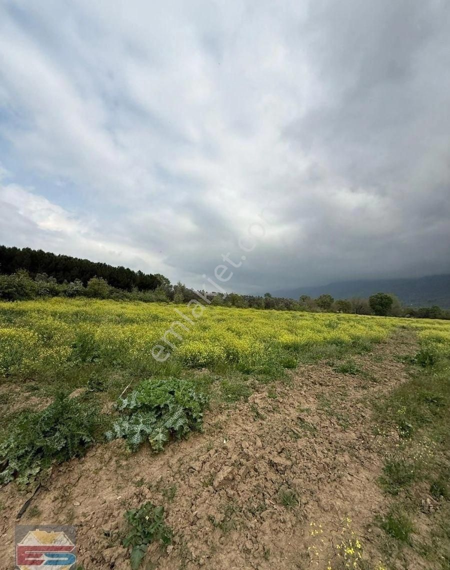Bursa Orhangazi Karsak Sanayi Dibinde Satılık 15.330 M² Arazi