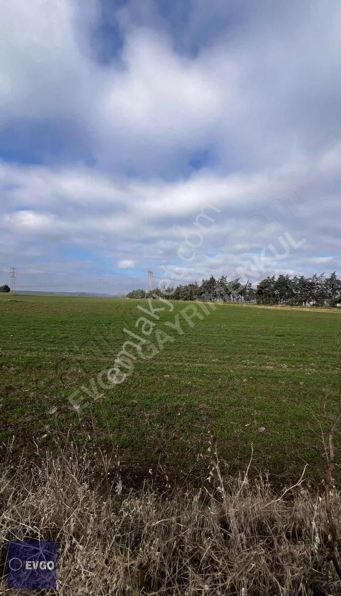 Silivri Alipaşa 5000 M2 Tek Tapu İki Yola Cephe Tarla