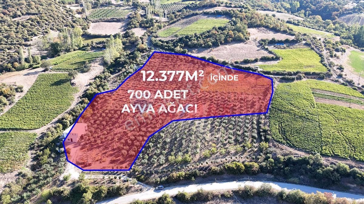 Re/max İnci'den Kozderegüvem'de 12.377 M2 Ayva Bahçesi