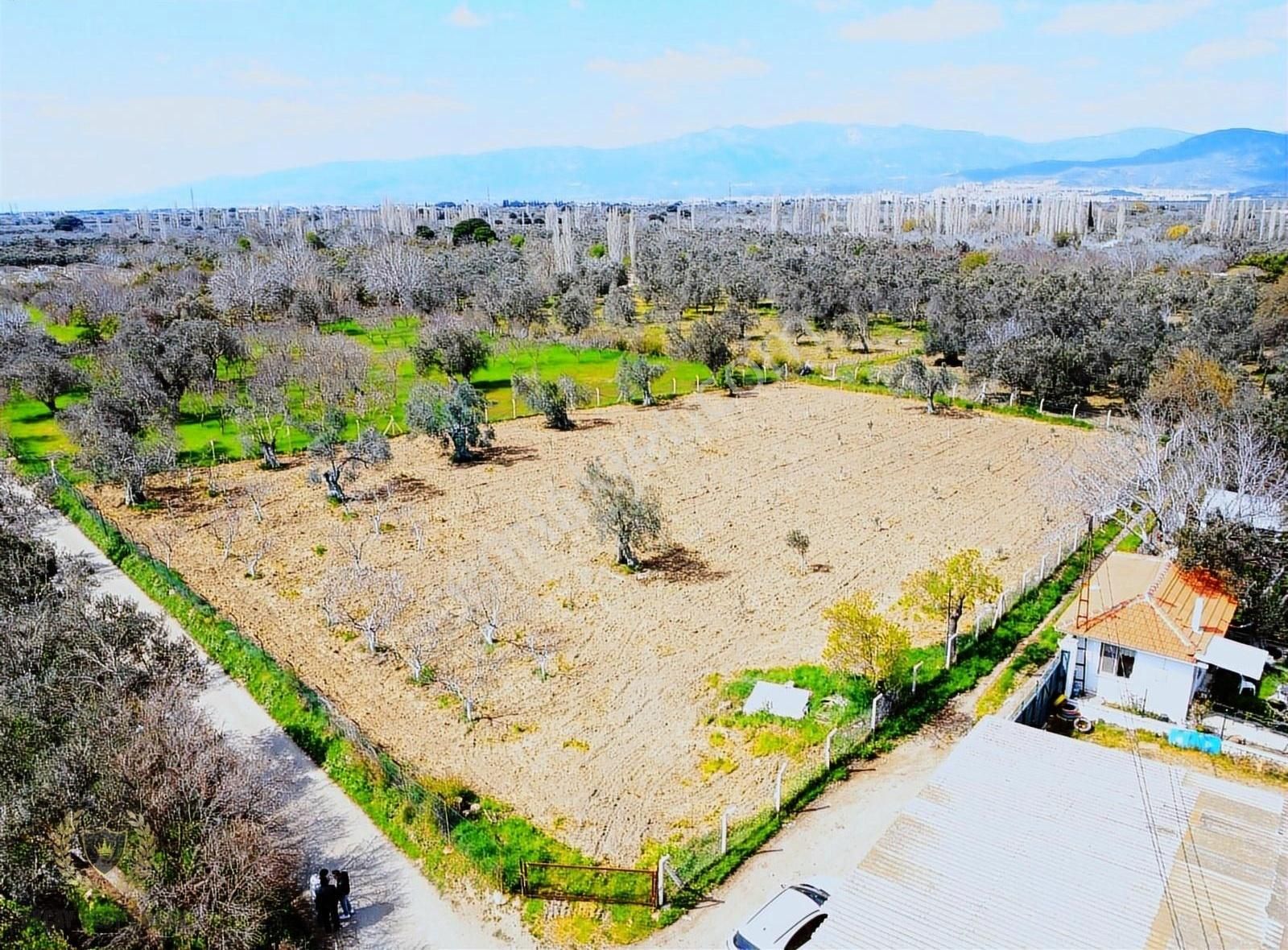 Best Emlak'tan Bereketli Havran Ovasında Tiny House 'a Uygun