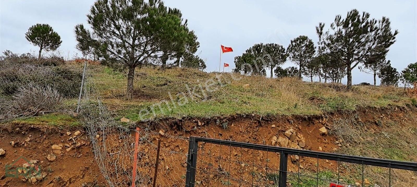 Ern Gayrimenkul'den Paşaköy Mahallesinde Tarla