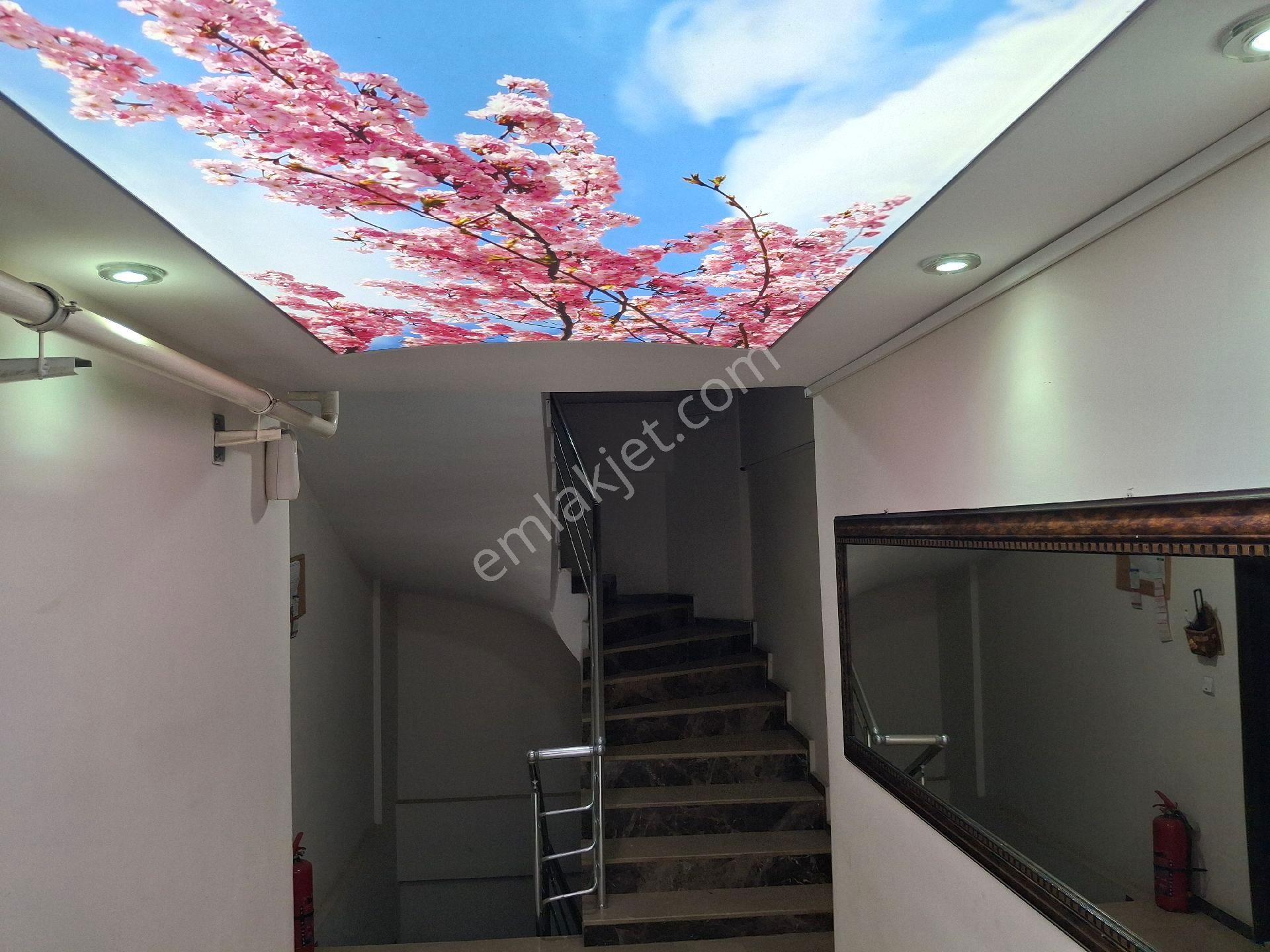 Nazilli Alkan Gayrimenkul Den Kiralık