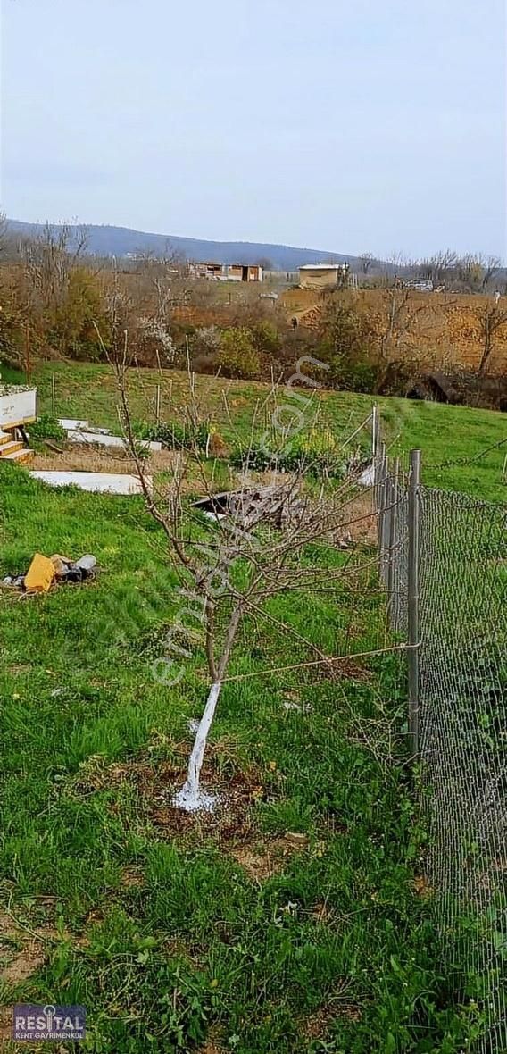 Bursa Kestel Kayacıkta Sulama Hattı Olan Hobi Bahçesi Fırsatı - Görsel 2