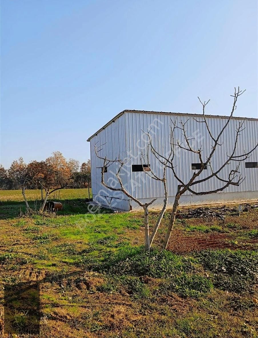 Boz Estate Office'den Kiralık Depo Yada İmalat.