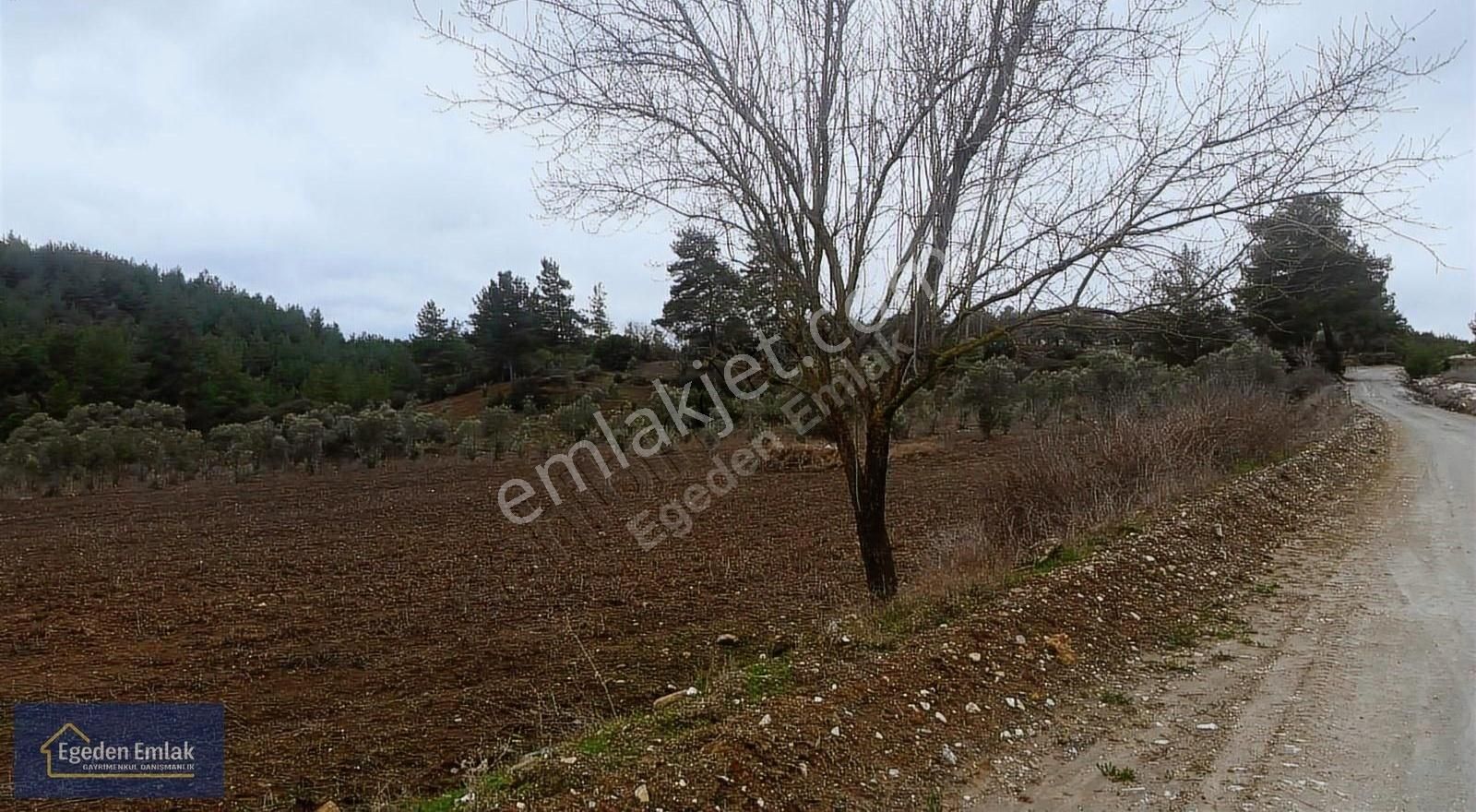 Egeden Emlak Yatağan Nebi Köyde Satılık 8.403 M2 Tarla