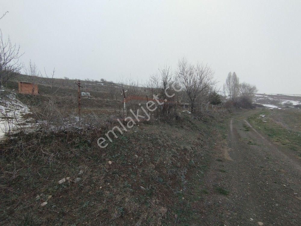 Güvenay - Çorum Kavacık Köyü Satılık 8 Dönüm Tarla
