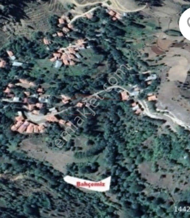 Çorum / İskilip / Akpınar Köyü Acill Satılık 1 Dönüm Bahçe - Görsel 6