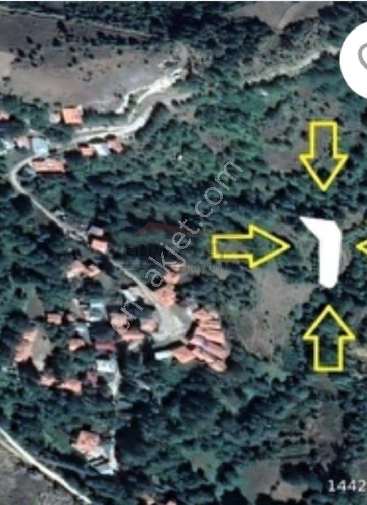 Çorum / İskilip / Akpınar Köyü Acill Satılık 1 Dönüm Bahçe - Görsel 9