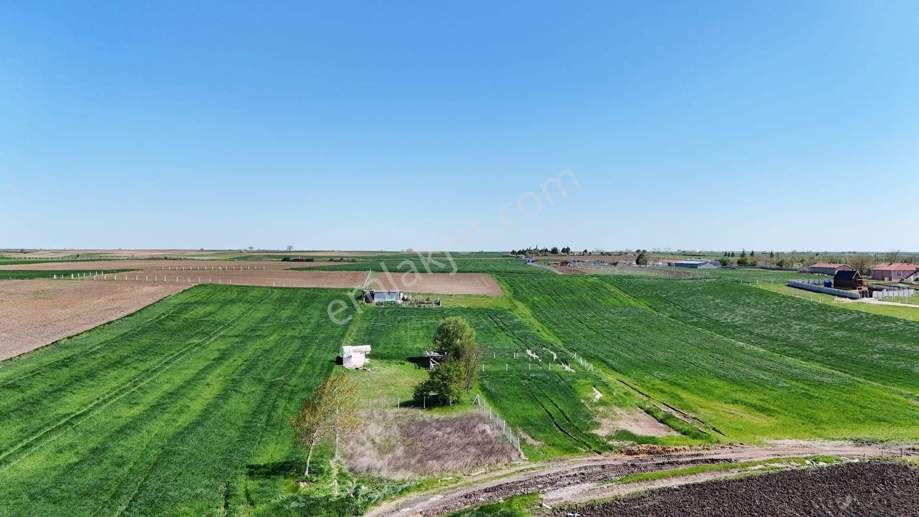 Saray Yuvalı'da Yerleşime Yakın Yola Cephe 1315 M² Hisseli Tarla