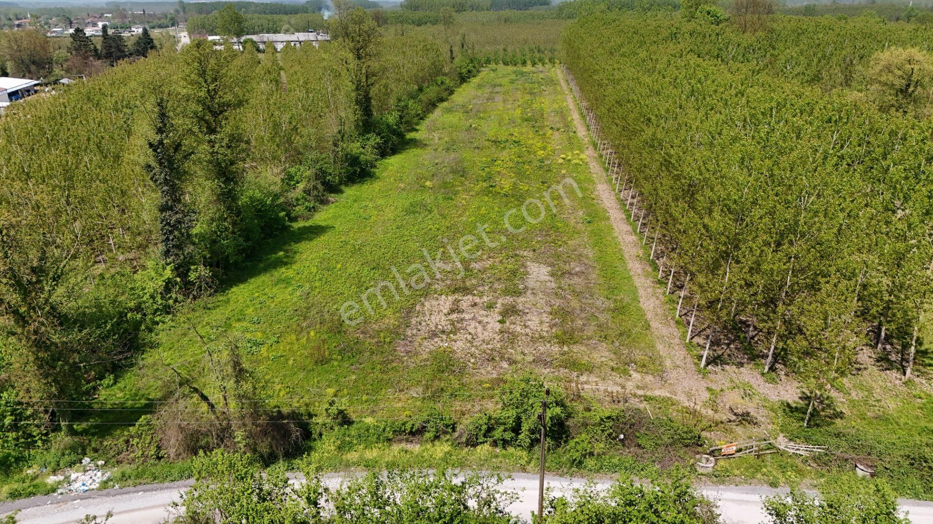 Düzce Merkez Duraklarda Yola 55 M Cepheli 12.647m² Satılık Arsa