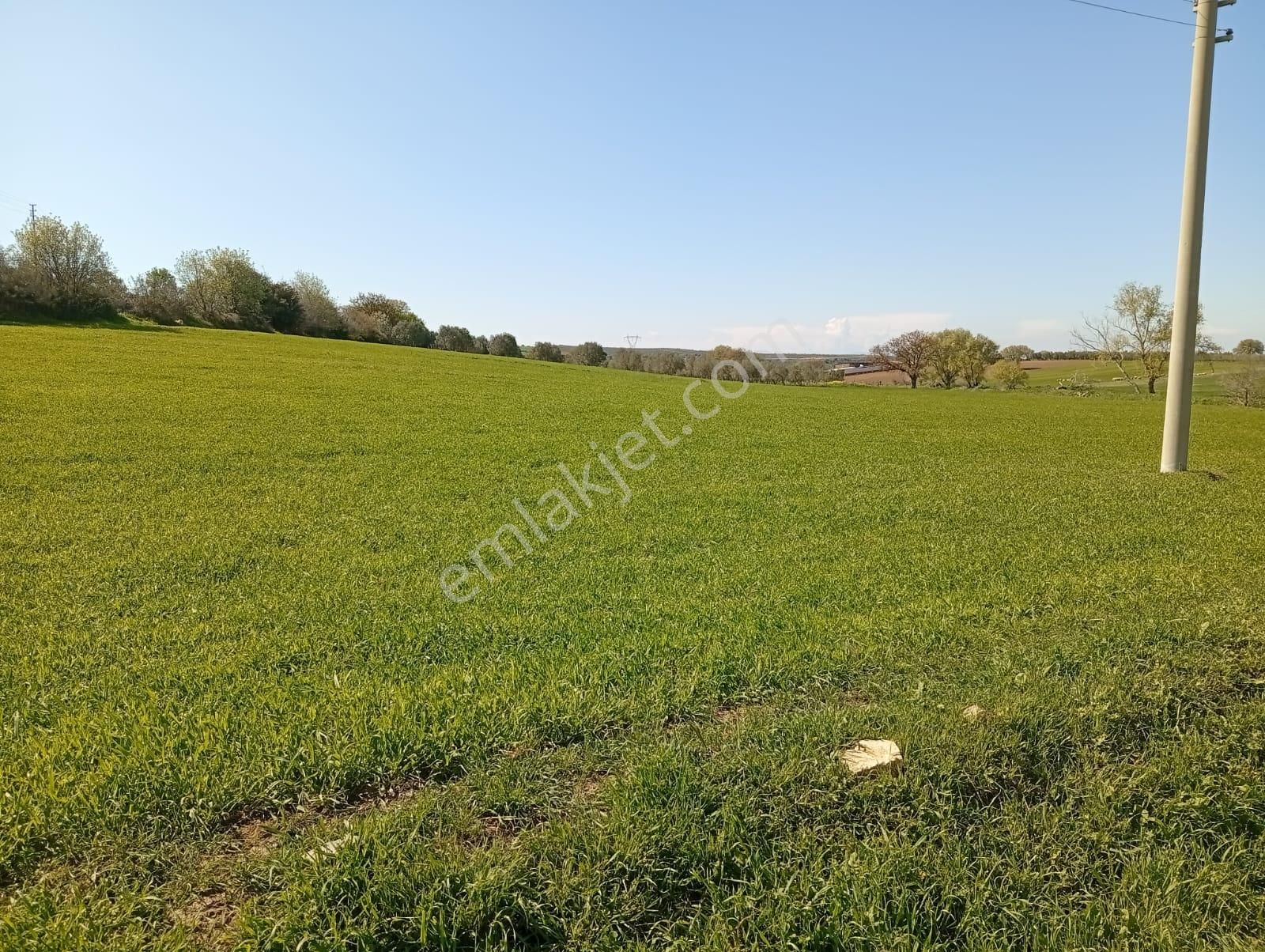 Köyün Hemen Bitişiğinde Arsa Gibi Kullanılabilecek 5200 M2 Tarla