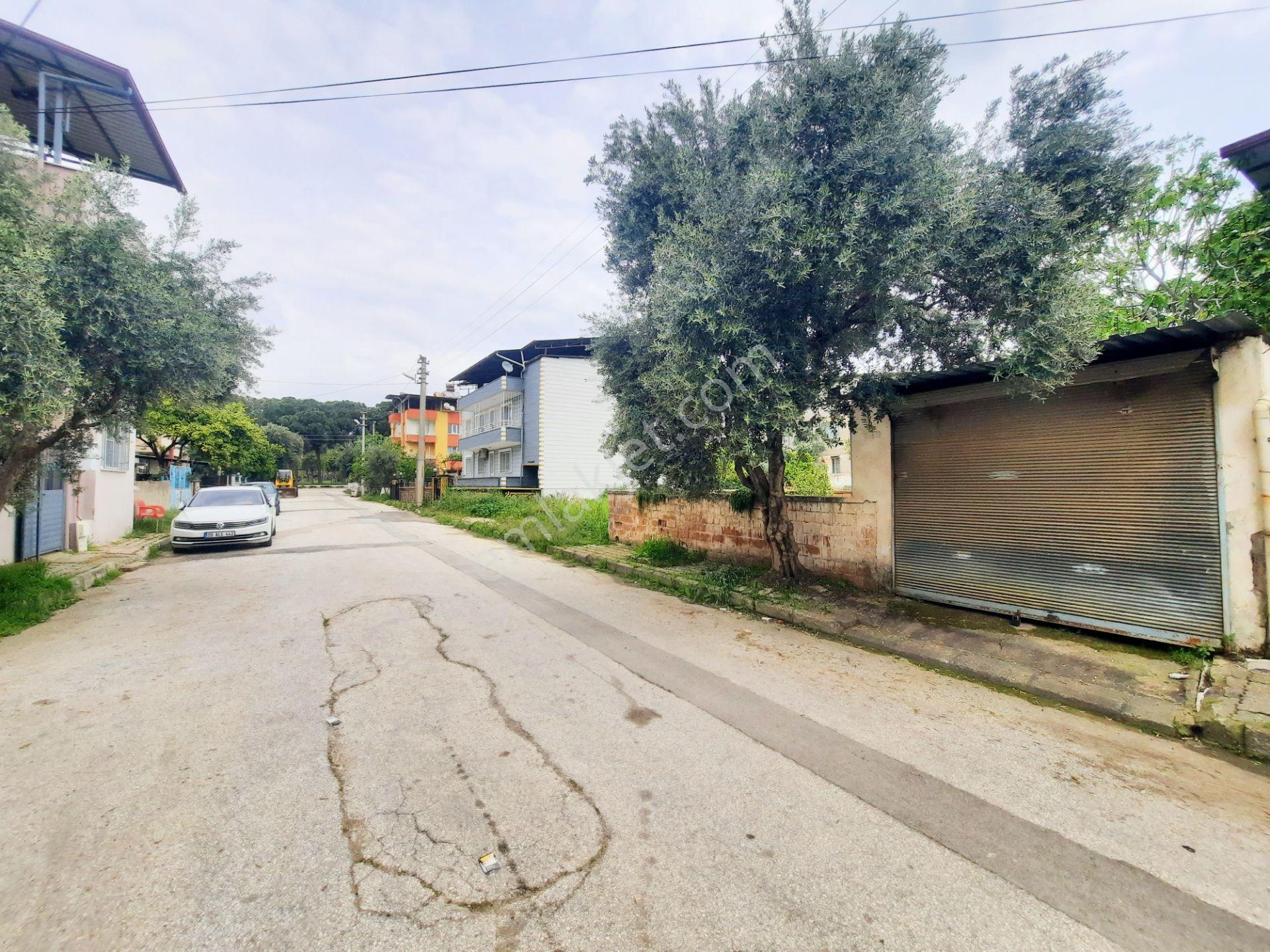 Millet Parkı Sokağı Etrafı Çevrili Arsa.. - Görsel 5