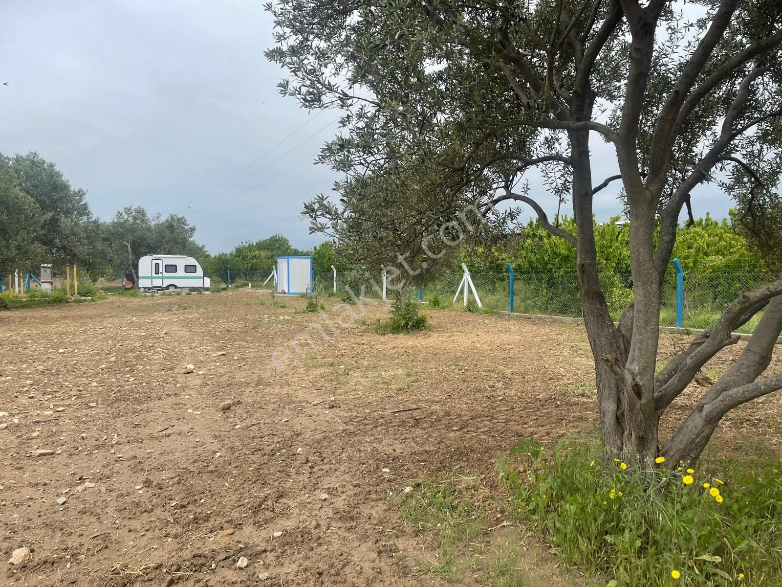 Kemalpaşa Aşağıkızılca Satılık 1010 M2 Tek Tapu Bahçe - Görsel 15