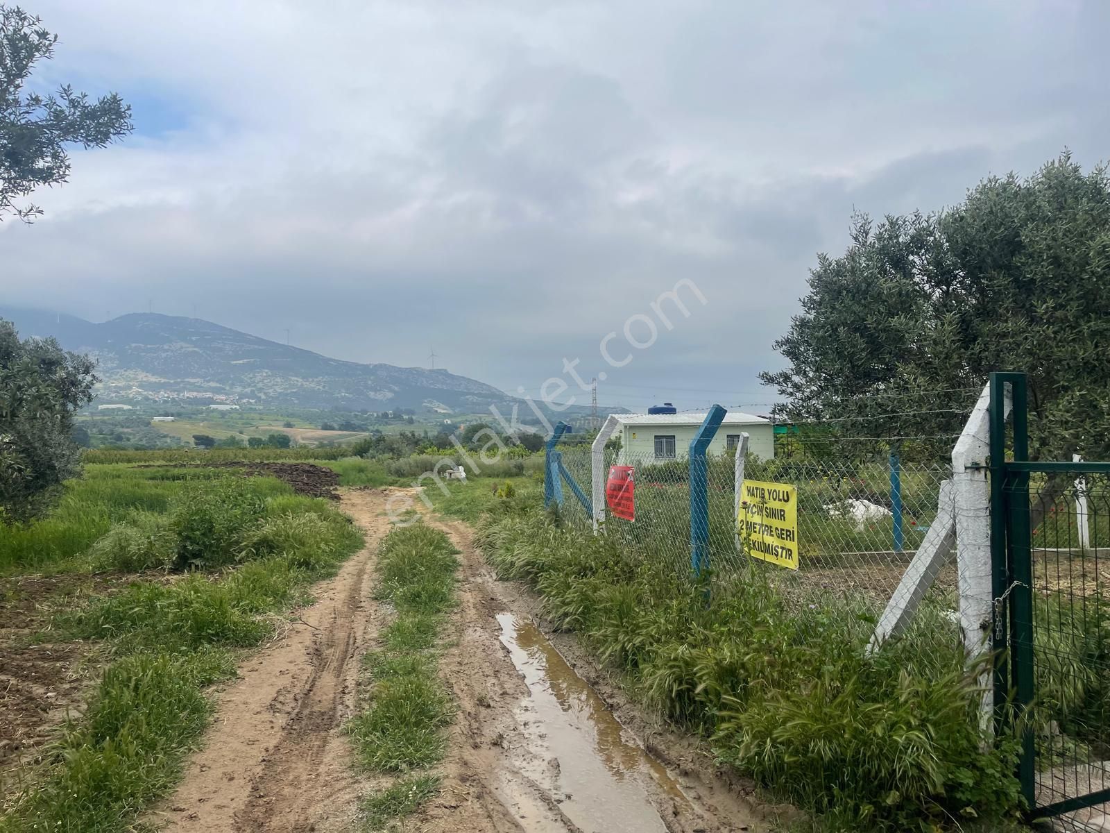 Kemalpaşa Aşağıkızılca Satılık 1010 M2 Tek Tapu Bahçe - Görsel 28