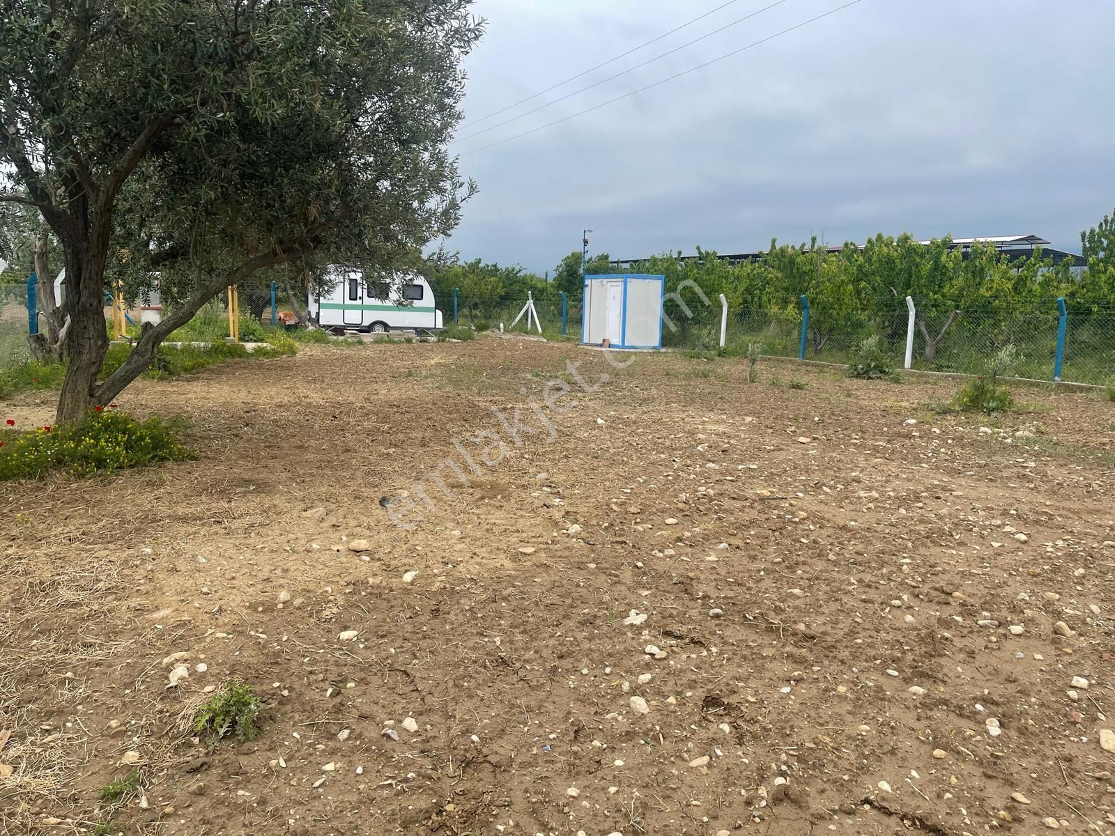 Kemalpaşa Aşağıkızılca Satılık 1010 M2 Tek Tapu Bahçe - Görsel 19