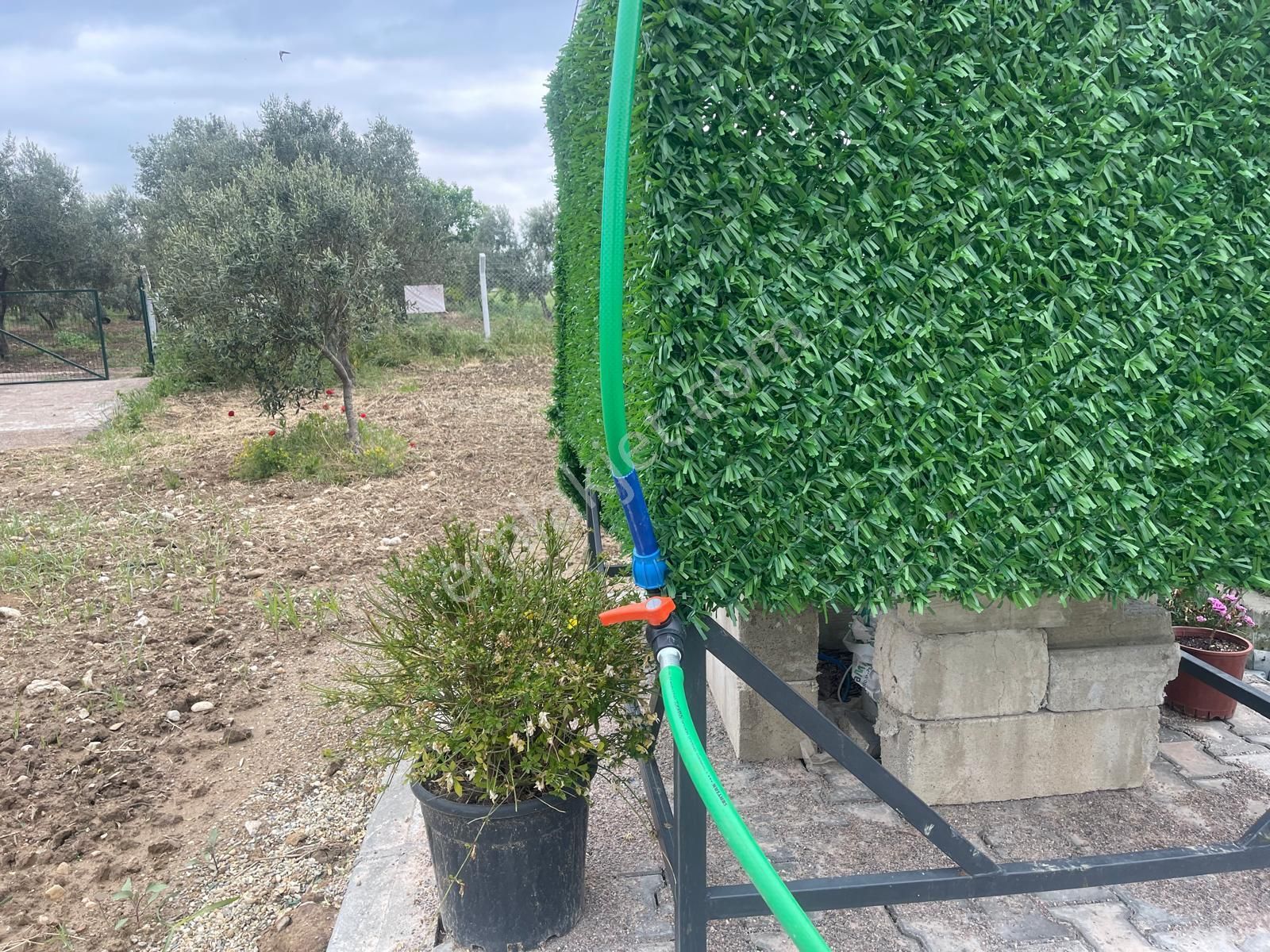 Kemalpaşa Aşağıkızılca Satılık 1010 M2 Tek Tapu Bahçe - Görsel 17