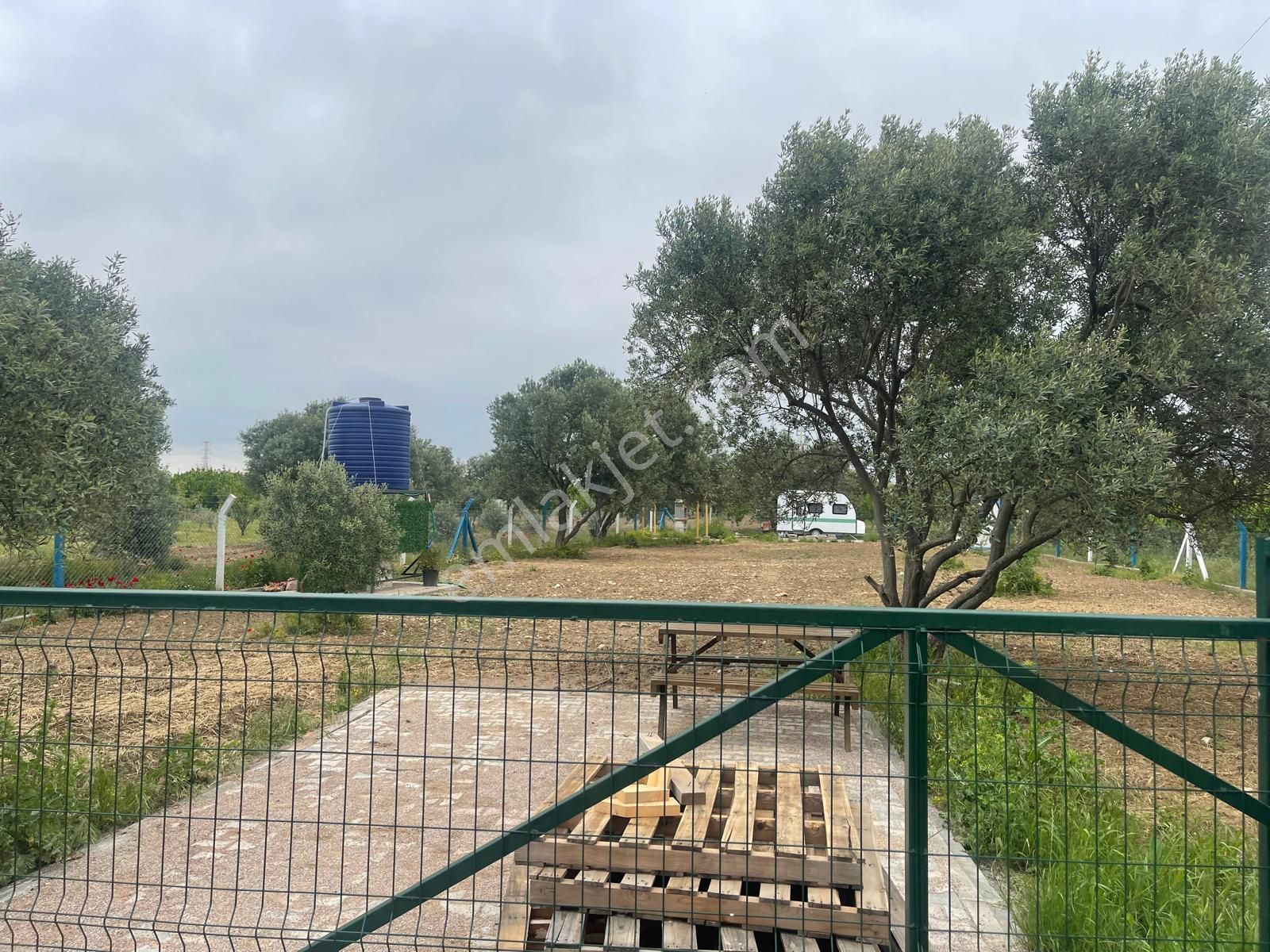 Kemalpaşa Aşağıkızılca Satılık 1010 M2 Tek Tapu Bahçe - Görsel 7