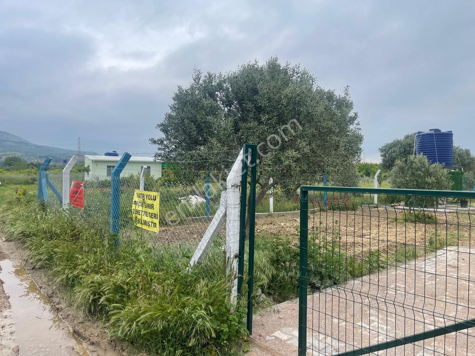Kemalpaşa Aşağıkızılca Satılık 1010 M2 Tek Tapu Bahçe - Görsel 10