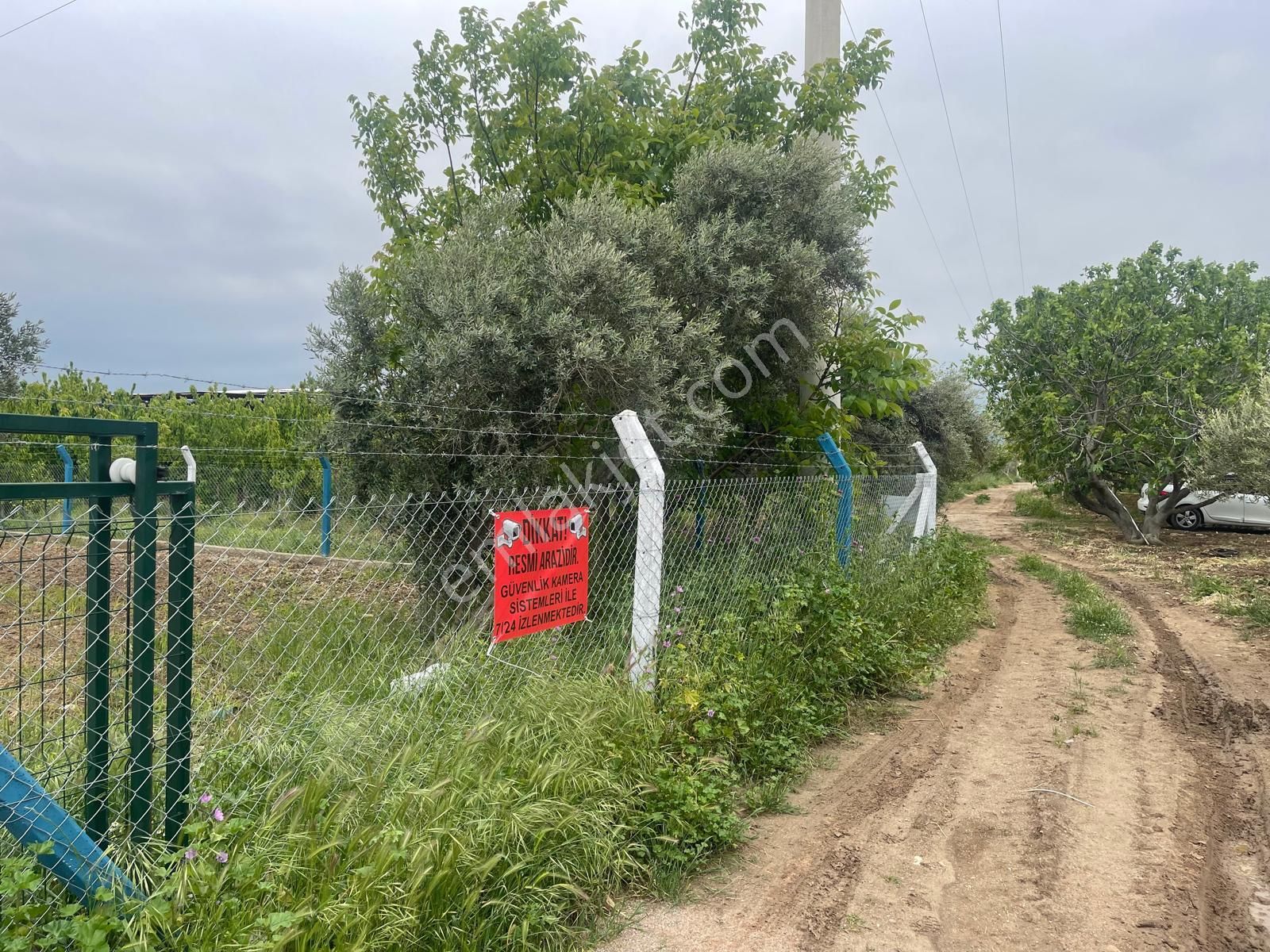 Kemalpaşa Aşağıkızılca Satılık 1010 M2 Tek Tapu Bahçe - Görsel 30