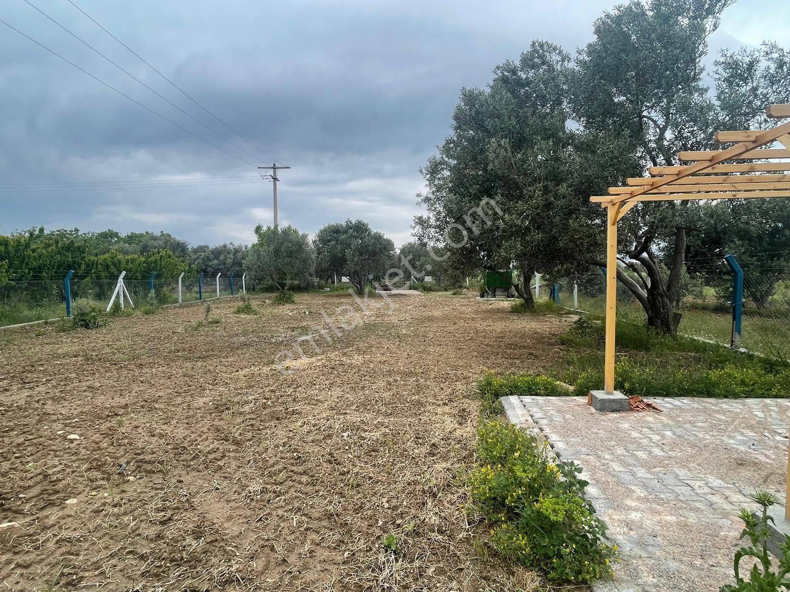 Kemalpaşa Aşağıkızılca Satılık 1010 M2 Tek Tapu Bahçe - Görsel 25