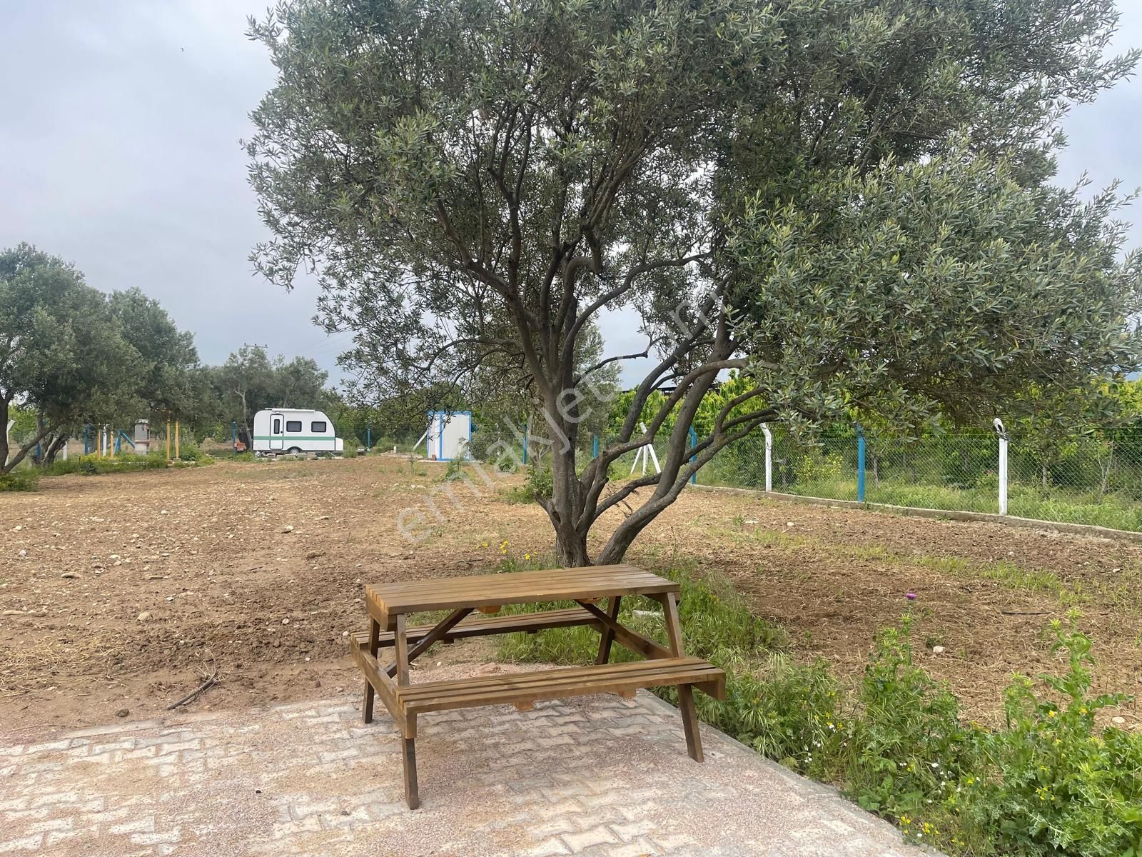 Kemalpaşa Aşağıkızılca Satılık 1010 M2 Tek Tapu Bahçe - Görsel 9