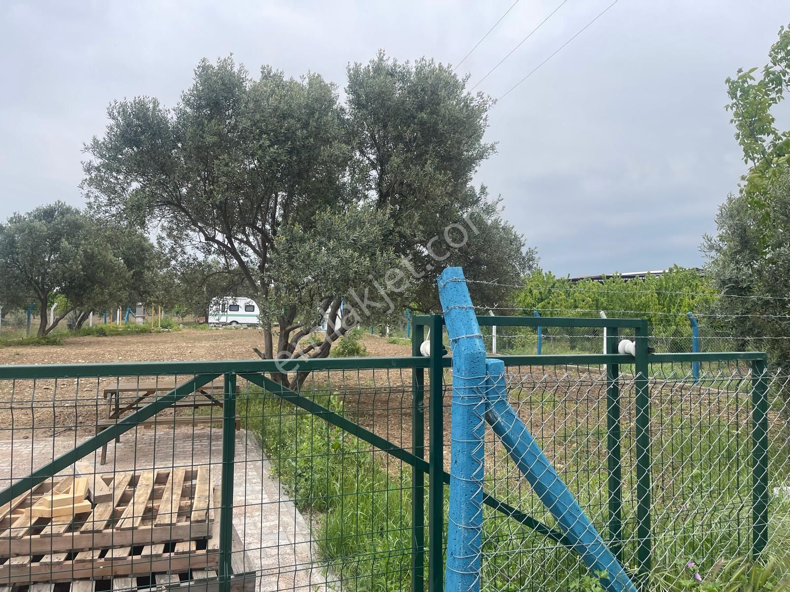 Kemalpaşa Aşağıkızılca Satılık 1010 M2 Tek Tapu Bahçe - Görsel 6