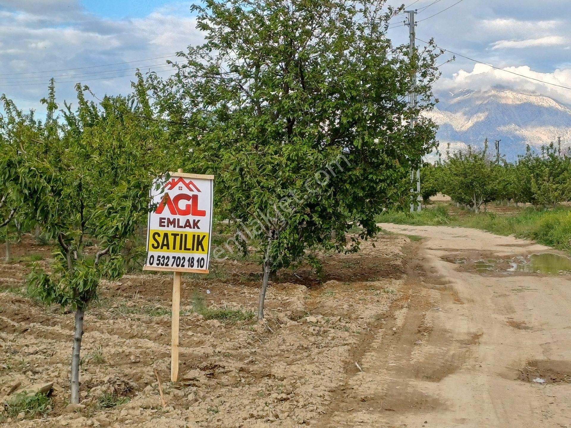 Çivril Kızılcasögütte İmarın Dibinde Hobi Bahçesi Ve Ev