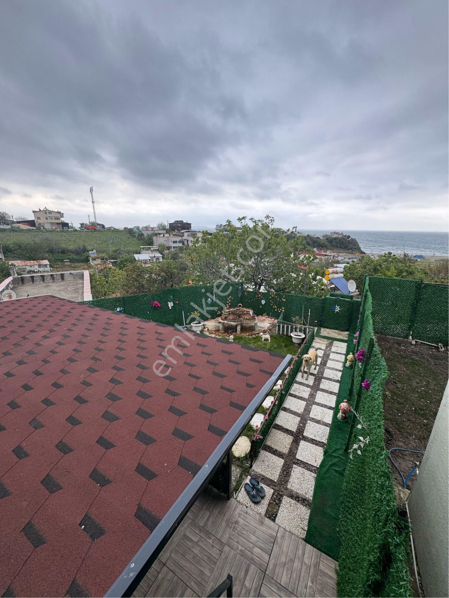 Mudanya Mesudiye'de Doğayla İç İçe, Süper Dekorlu Tiny House