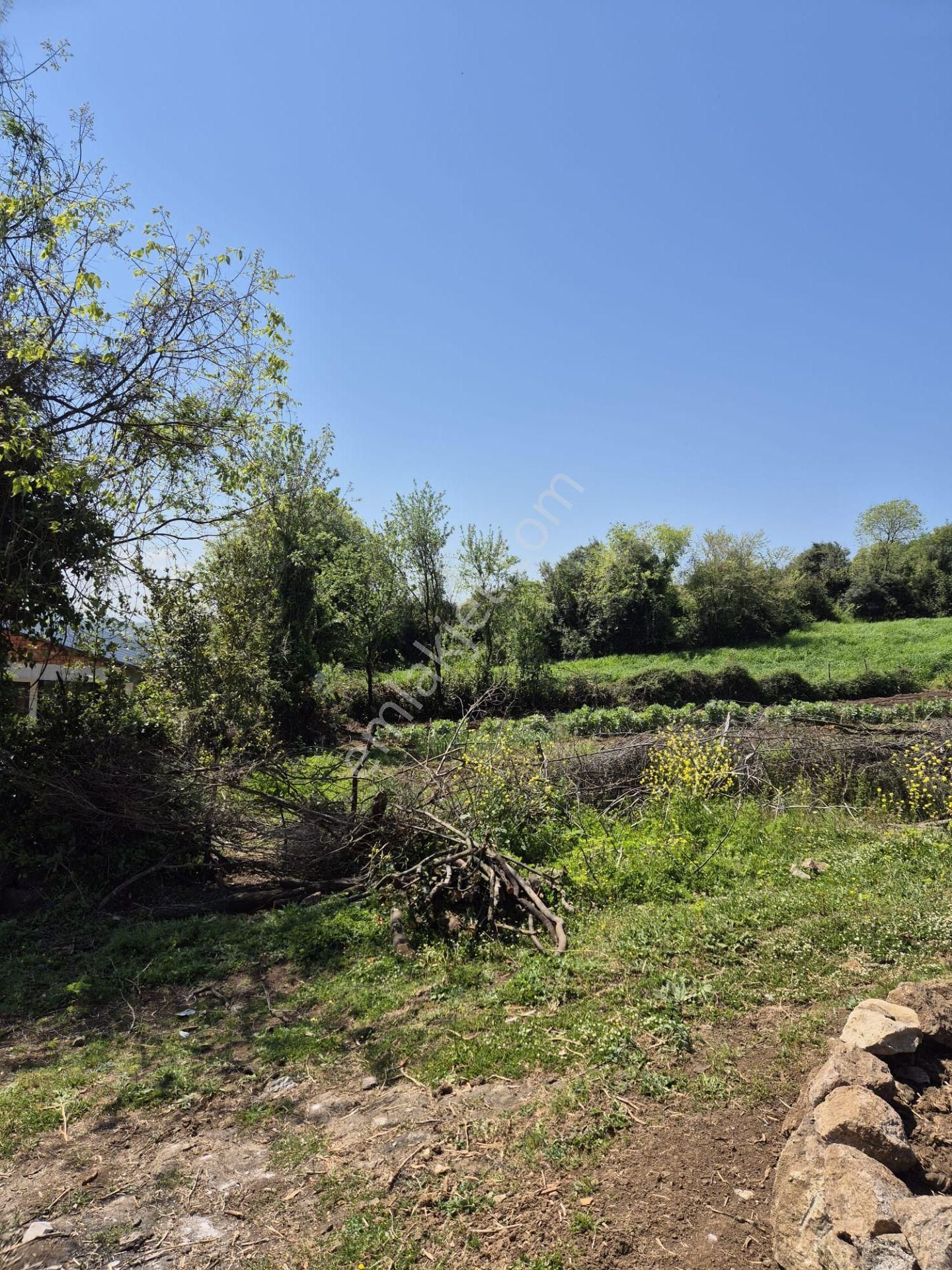 Alaybey(duraçali) 726 M2 Köyiçi Konut Alanı Satılık - Görsel 13