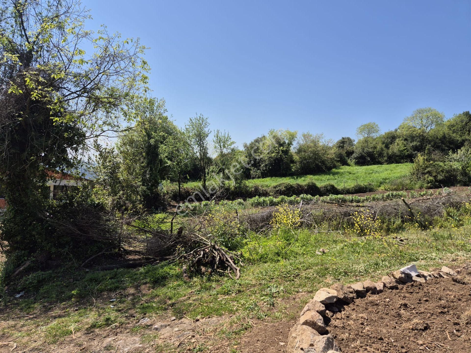 Alaybey(duraçali) 726 M2 Köyiçi Konut Alanı Satılık - Görsel 10