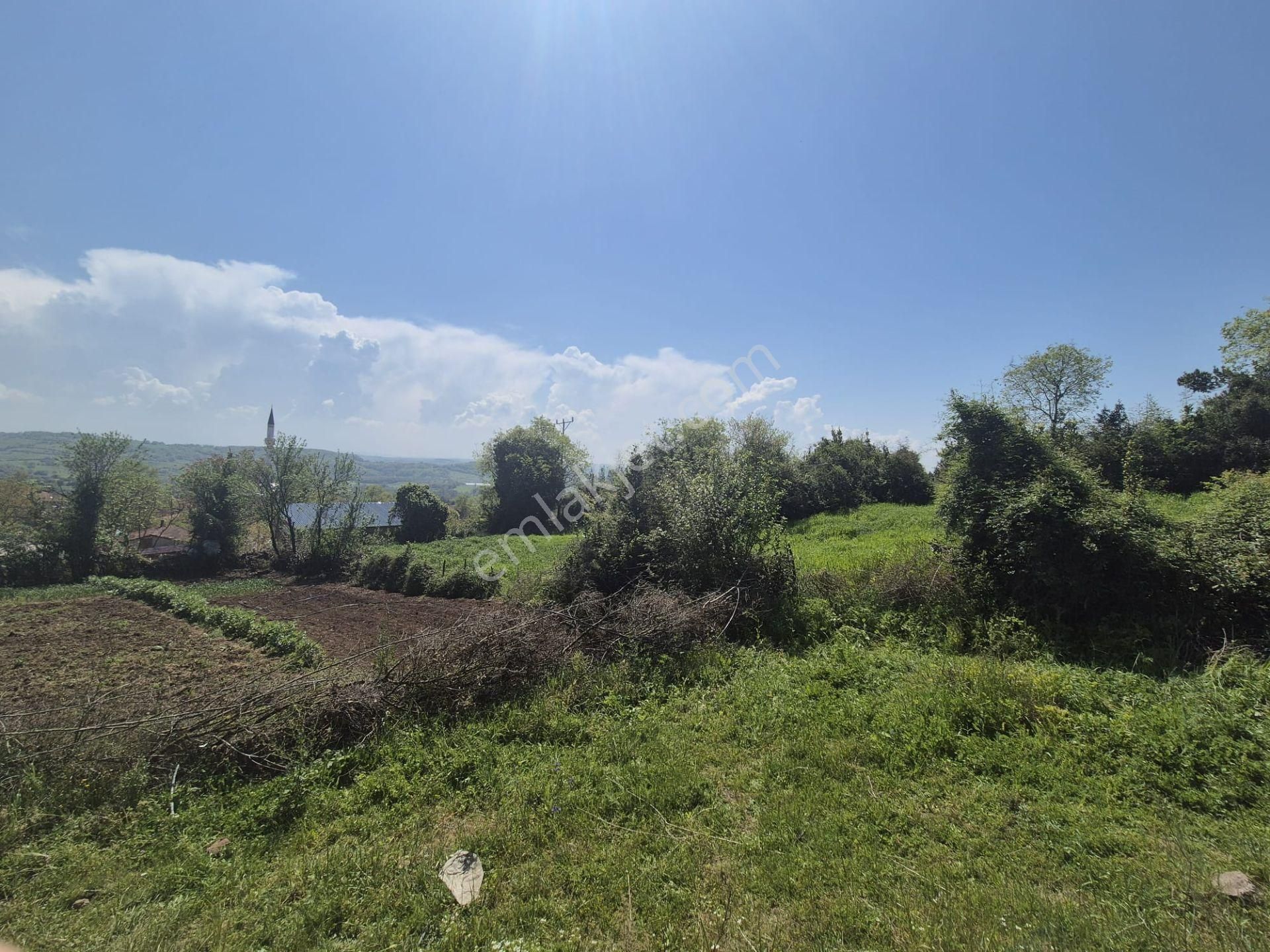Alaybey(duraçali) 726 M2 Köyiçi Konut Alanı Satılık - Görsel 14