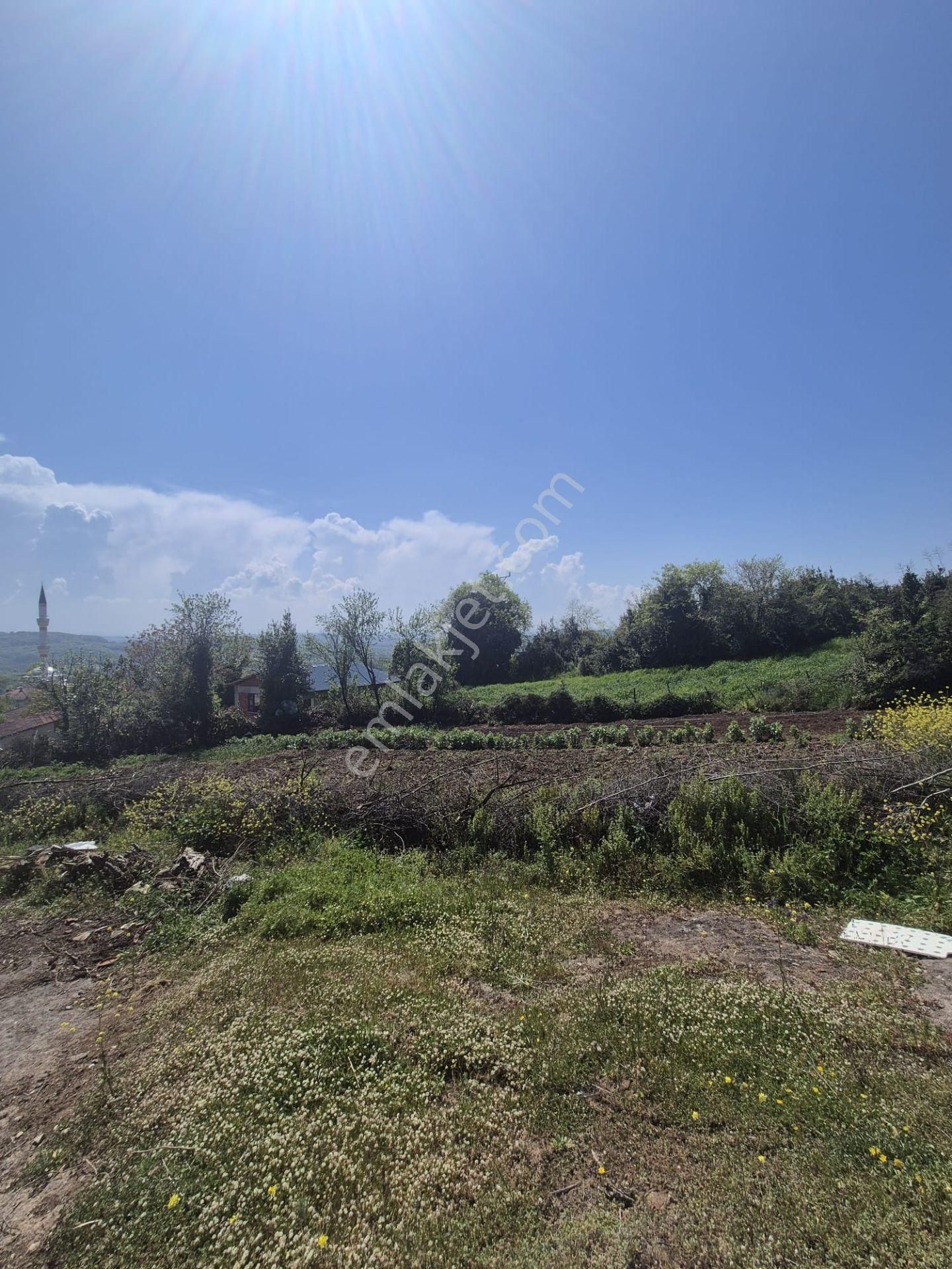 Alaybey(duraçali) 726 M2 Köyiçi Konut Alanı Satılık - Görsel 11