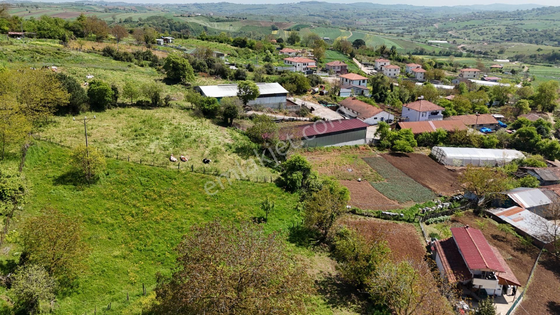 Alaybey(duraçali) 726 M2 Köyiçi Konut Alanı Satılık - Görsel 4