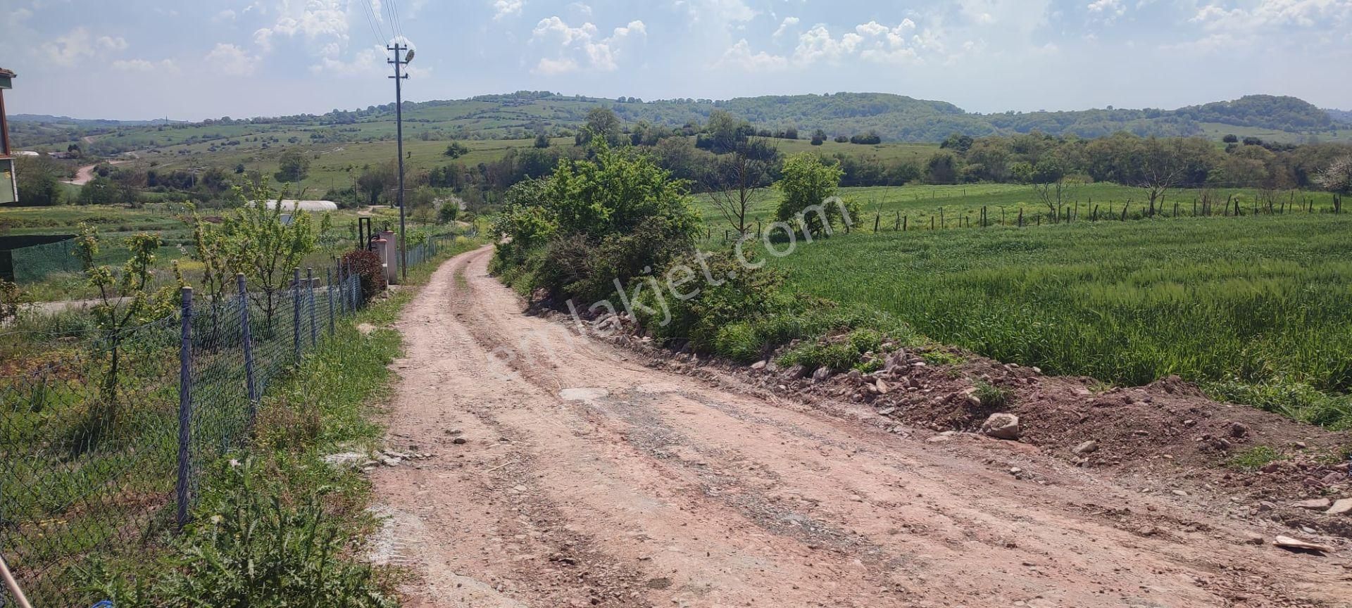 Alaybey(duraçali) 2386 M2 Köyiçi İmarlı Satılık Parsel - Görsel 18