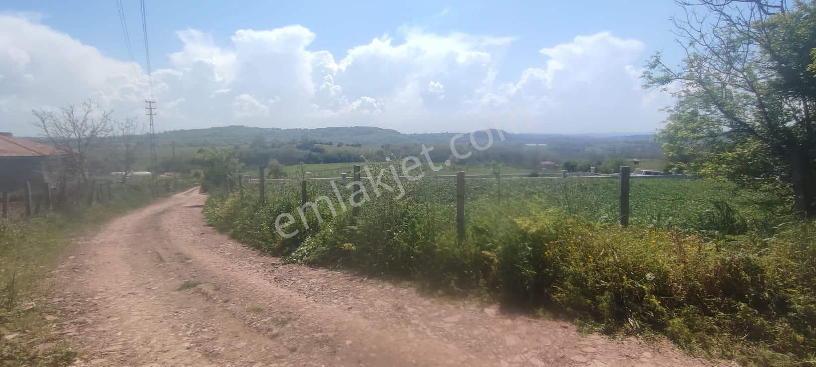 Alaybey(duraçali) 2386 M2 Köyiçi İmarlı Satılık Parsel - Görsel 15
