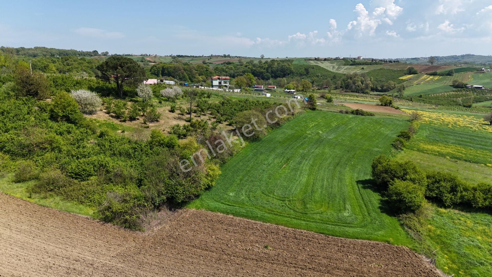 Alaybey(duraçali) 2386 M2 Köyiçi İmarlı Satılık Parsel - Görsel 9