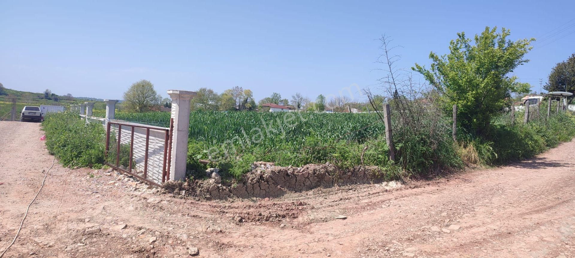 Alaybey(duraçali) 2386 M2 Köyiçi İmarlı Satılık Parsel - Görsel 19