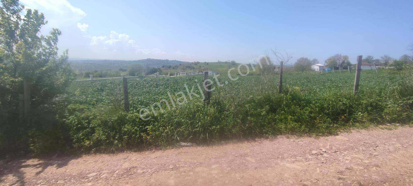 Alaybey(duraçali) 2386 M2 Köyiçi İmarlı Satılık Parsel - Görsel 17